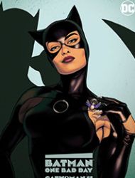 Batman - One Bad Day: Catwoman