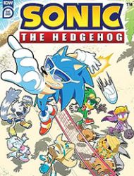 IDW Endless Summer Sonic the Hedgehog