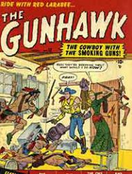 The Gunhawk