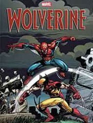 Wolverine vs. the Marvel Universe
