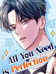All You Need is Perfection