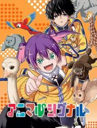 Animal Signal