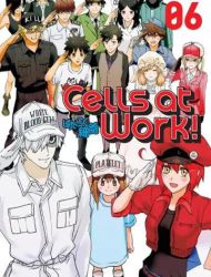 Cells at Work!