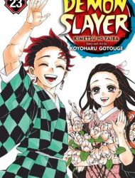 Demon Slayer - Kimetsu no Yaiba