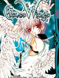 Glass Wings