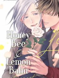 Honey Bee & Lemon Balm - sweet moment