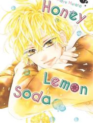 Honey Lemon Soda