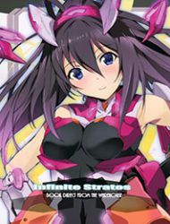 Infinite Stratos - Infinite Stratos Book Direct From The Warehouse (Artbook)