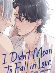 I Didn't Mean to Fall in Love