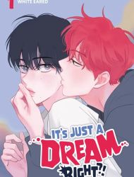 It's Just a Dream... Right?!