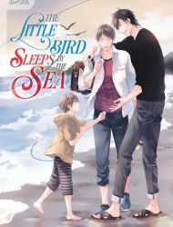 Little Bird Sleeps by the Sea