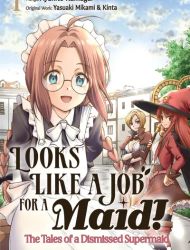 Looks Like a Job for a Maid! - The Tales of a Dismissed Supermaid