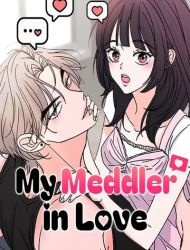 My Meddler in Love