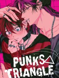 PUNKS TRIANGLE