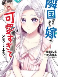 Rinkoku kara Kita Yome ga Kawaisugite Doushiyou