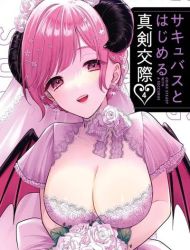 Succubus to Hajimeru Shinkenkousai