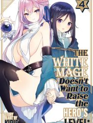 The White Mage Doesn't Want to Raise the Hero's Level