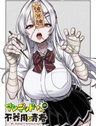 Undead-san no Bukiyou na Seishun