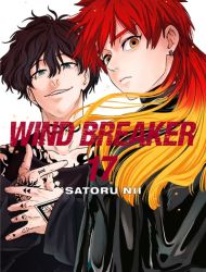 Wind Breaker (NII Satoru)