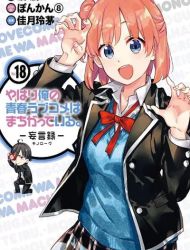 Yahari Ore no Seishun Rabukome wa Machigatte Iru. - Mougenroku