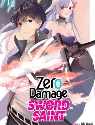 Zero Damage Sword Saint