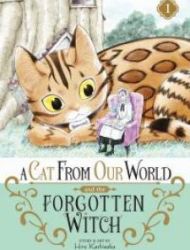 A Cat From Our World And The Forgotten Witch