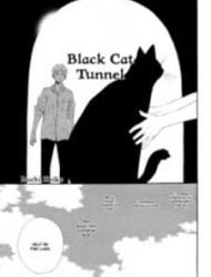 Black Cat Tunnel