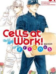 Cells At Work And Friends!