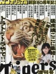Hanshin Tigers Sousetsu 80 Shuunen Kinen Zoukan