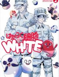 Hataraku Saibou White