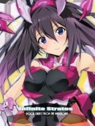 Infinite Stratos - Infinite Stratos Book Direct From The Warehouse (Artbook)