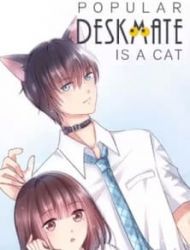 Popular Deskmate Is A Cat