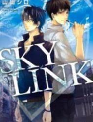 Sky Link