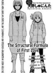 The Structural Formula Of First Love