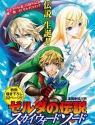 Zelda No Densetsu - Skyward Sword
